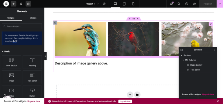 Screenshot of the Elementor editor in WordPress